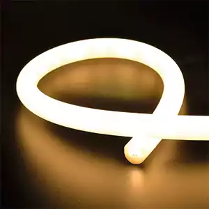 12 Volt 360° Neon Led