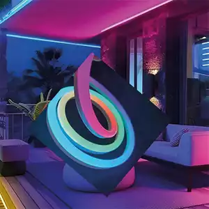 12 Volt Pixel Neon Led