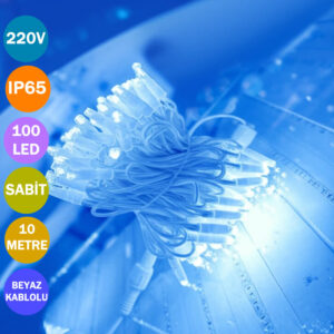 220V Sabit Yanar IP65 Su Geçirmez 100Ledli Yılbaşı Ledi (10 mt)