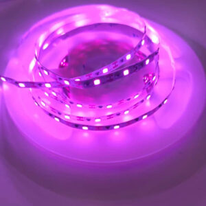 5V 5mm Mor 2835Smd IP20 60Ledli Şerit Led (5 Metre) - Görsel 3