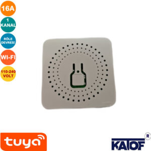16A 2 Kanal Smart Tuya Destekli Wi-fi' li Röle Devresi 110-240V - Görsel 3