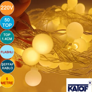 220V Flaşlı Gün Işığı 50 Toplu Led Yılbaşı Ledi 5 Metre