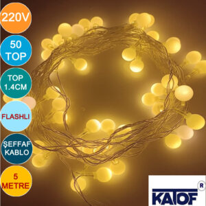 220V Flaşlı Gün Işığı 50 Toplu Led Yılbaşı Ledi 5 Metre - Görsel 3