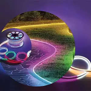 220 Volt Pixel Neon Led