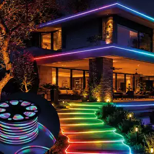 220 Volt RGB Neon Led