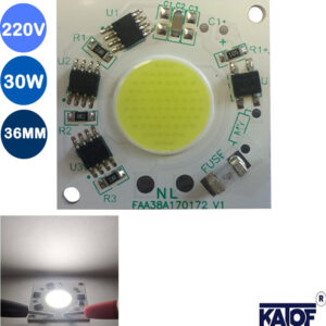 220Volt 30Watt 36mmX36mm Cob Led