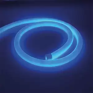 24 Volt 360° Neon Led