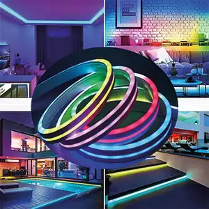 5 Volt Pixel Neon Led