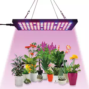 Bitki Yetiştirme LED Çeşitleri